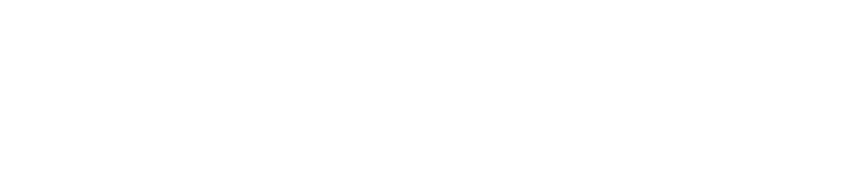 EasyAudit negative logo
